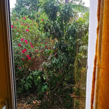 Bas De Maison Lägenhet Biguglia (Corsica)